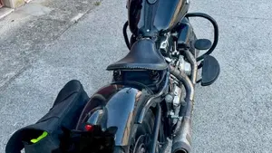 Harley-Davidson 1584 Cross Bones (2008 - 11) - FLSTSB  (10)