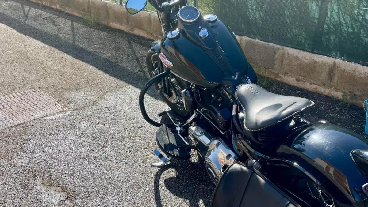 Harley-Davidson 1584 Cross Bones (2008 - 11) - FLSTSB  (12)