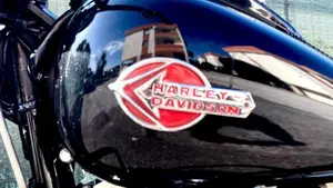 Harley-Davidson 1584 Cross Bones (2008 - 11) - FLSTSB  (15)