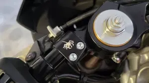 Aprilia RS 660 (2020 - 24)  (5)