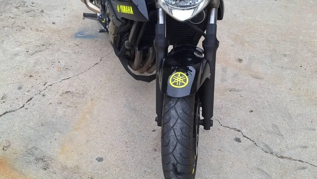 Yamaha XJ6 (2008 - 15)  (3)
