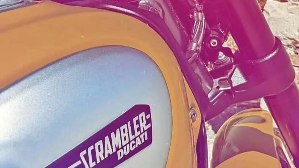 Ducati Scrambler 800 Classic (2015 - 16)  (3)