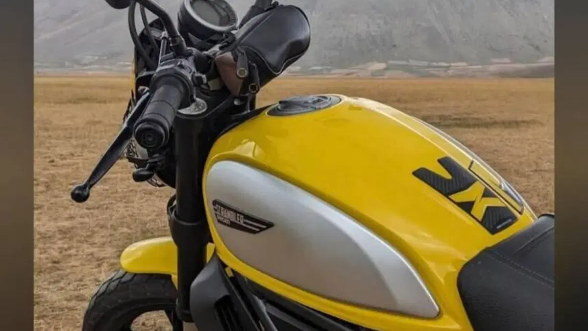 Ducati Scrambler 800 Classic (2015 - 16)  (5)