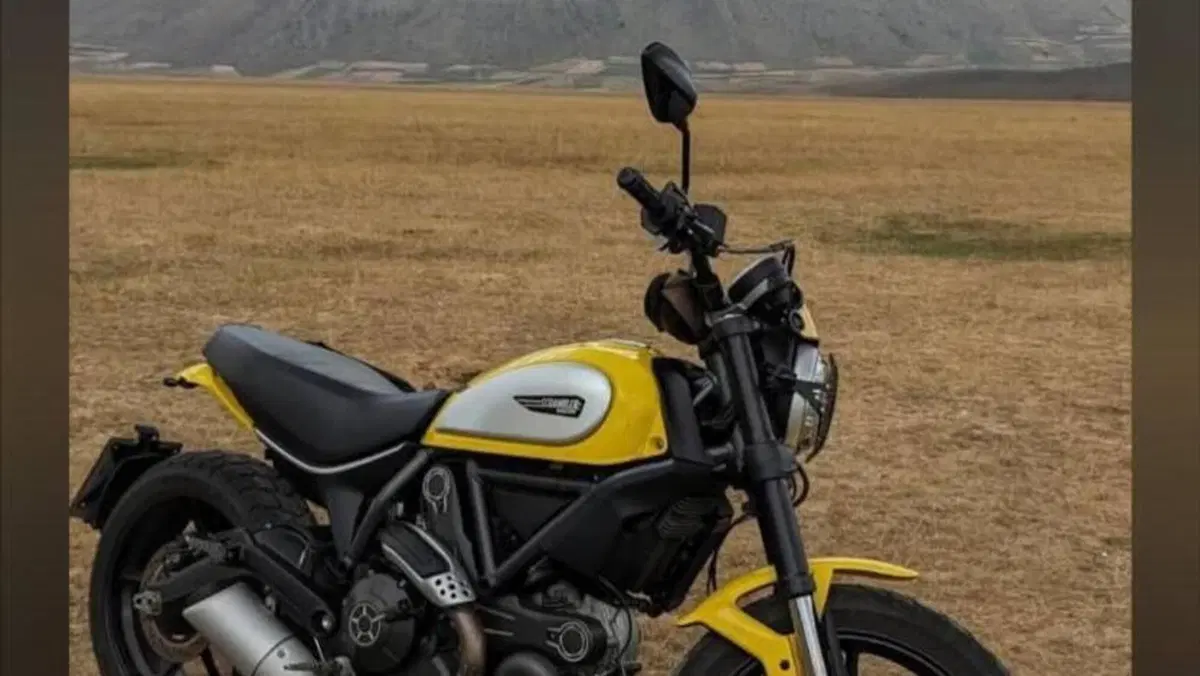 Ducati Scrambler 800 Classic (2015 - 16)  (6)