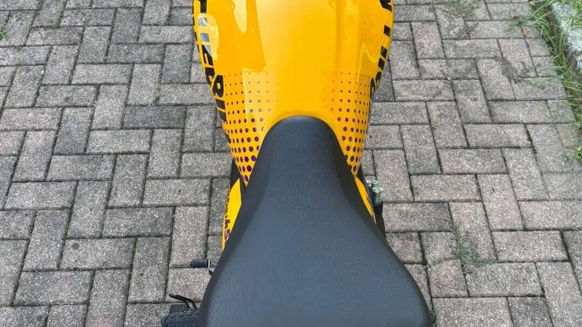 Royal Enfield Guerrilla 450 (2024 - 26)  (5)