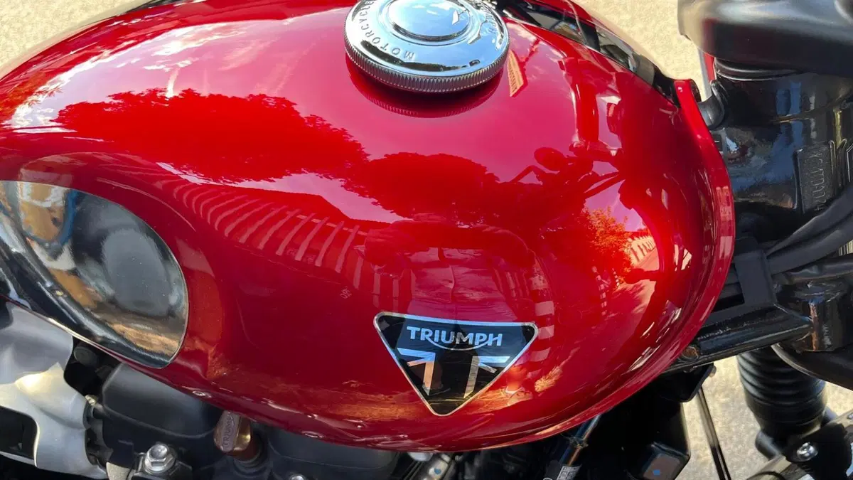 Triumph Speed Twin 900 (2023 - 24) 