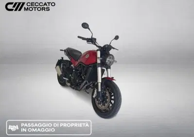 Benelli Leoncino 500 (2021 - 25) - Annuncio 10096789