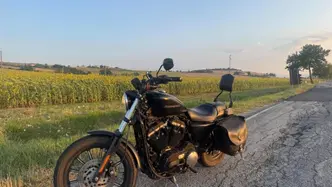 Harley-Davidson 883 Iron (2009 - 11) - XL 883N usata