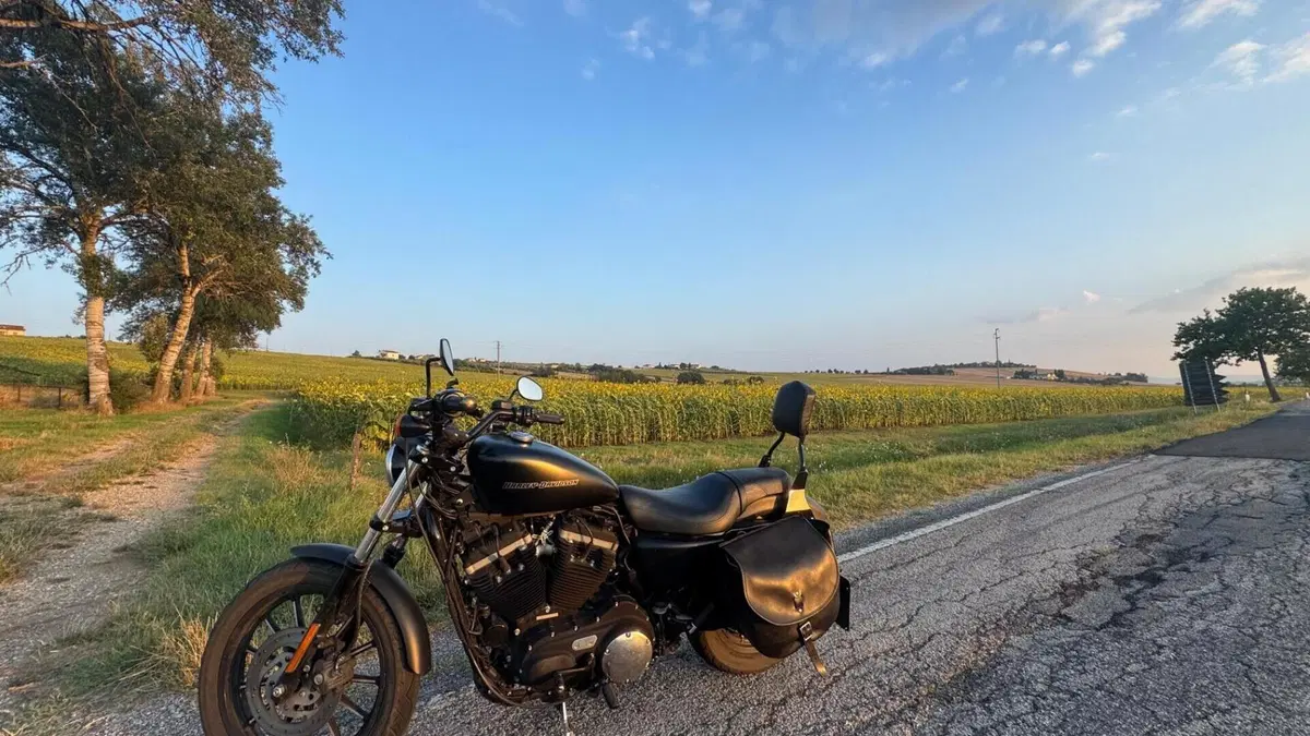 Harley-Davidson 883 Iron (2009 - 11) - XL 883N  (2)