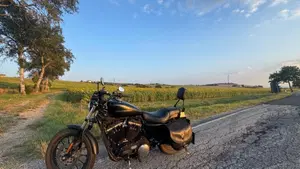 Harley-Davidson 883 Iron (2009 - 11) - XL 883N  (2)