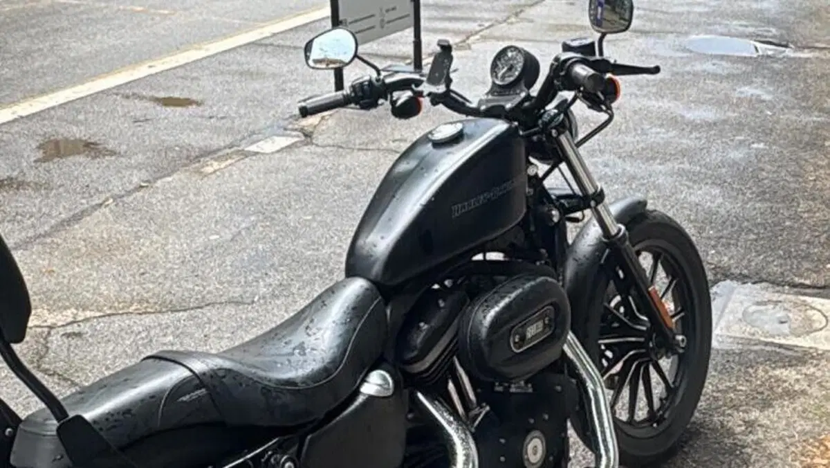 Harley-Davidson 883 Iron (2009 - 11) - XL 883N  (3)