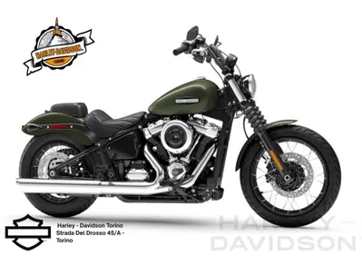 Harley-Davidson Street Bob 117 (2025 - 26) - Annuncio 10129073