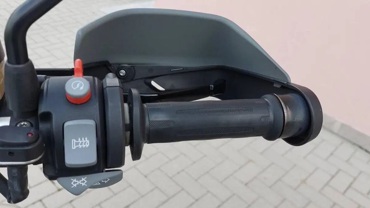 Bmw R 1200 GS (2008 - 09)  (9)