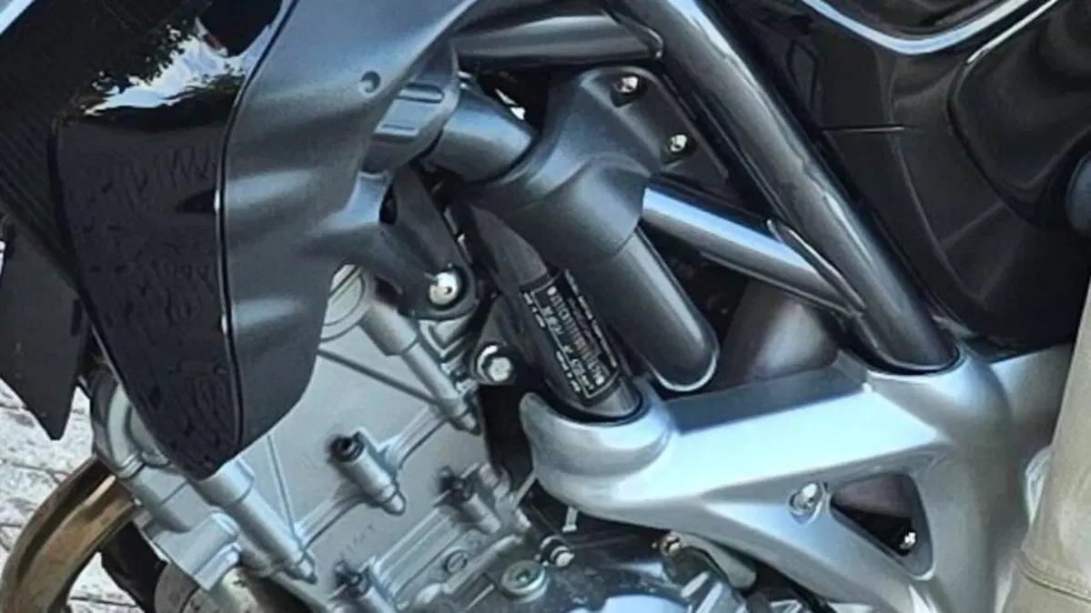 Suzuki Gladius 650 SFV (2009 - 15)  (5)