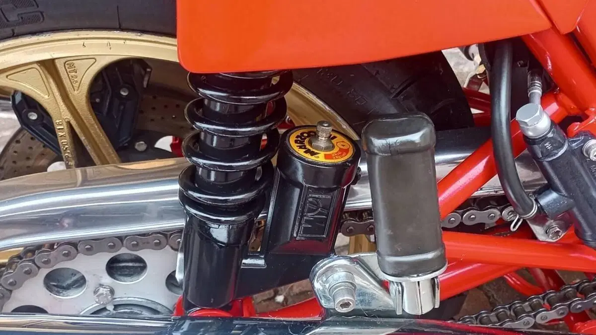 Ducati   (4)