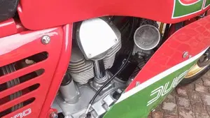 Ducati   (5)