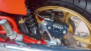 Ducati   (19)