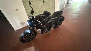 Triumph Trident 660 (2021 - 24)  (3)