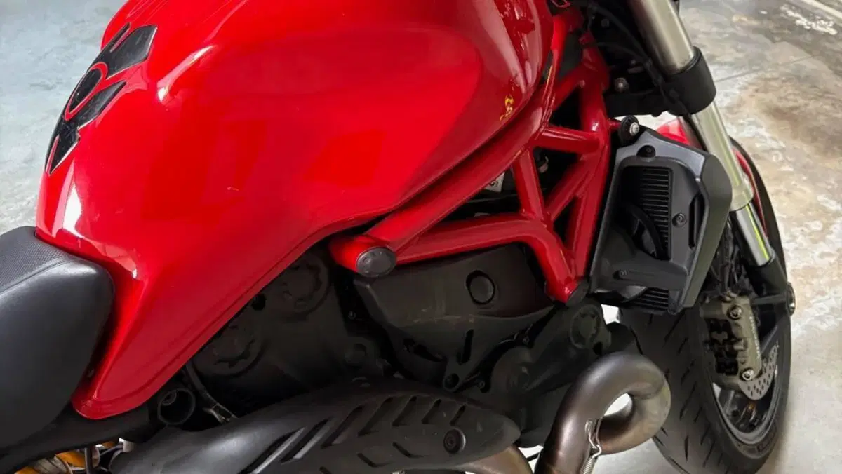 Ducati Monster 821 ABS (2014 - 17)  (4)