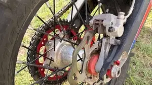 Betamotor RR 300 2T Enduro Racing (2020)  (3)