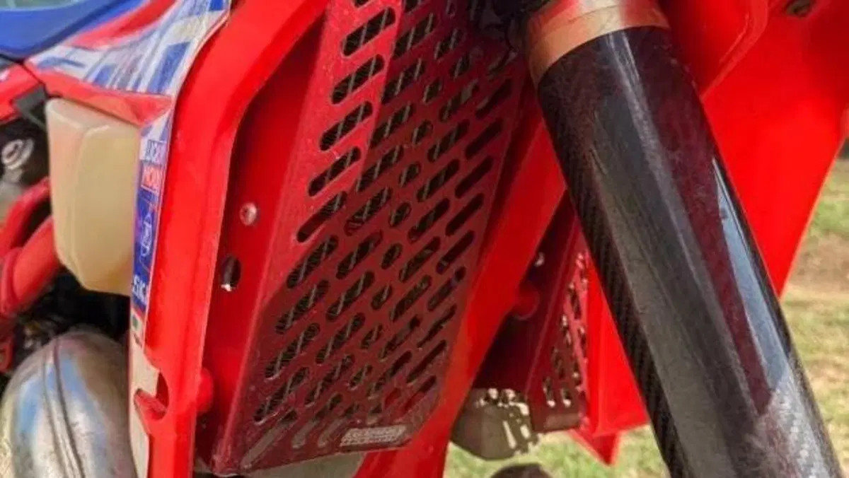 Betamotor RR 300 2T Enduro Racing (2020)  (5)