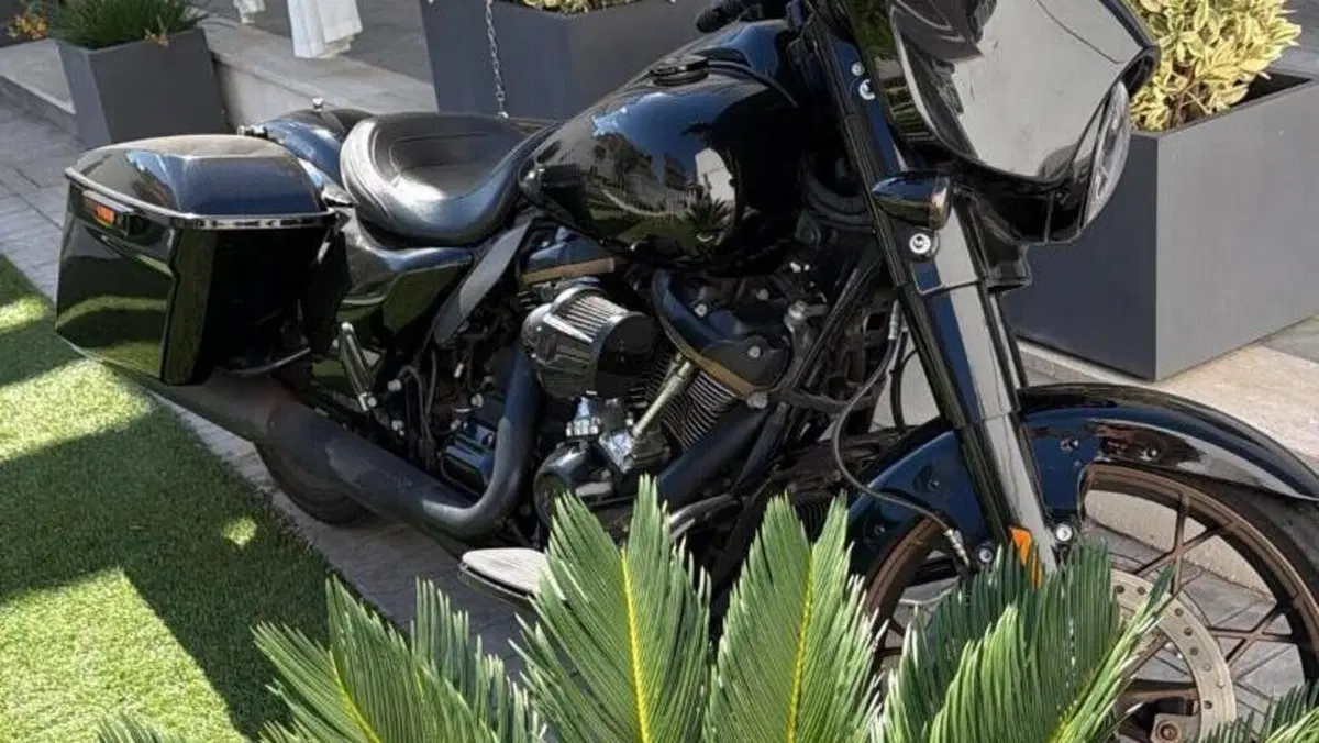 Harley-Davidson Street Glide ST (2022 - 23)  (5)