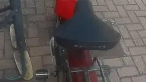 Peugeot   (3)