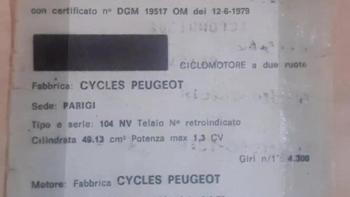Peugeot   (8)