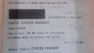 Peugeot   (8)