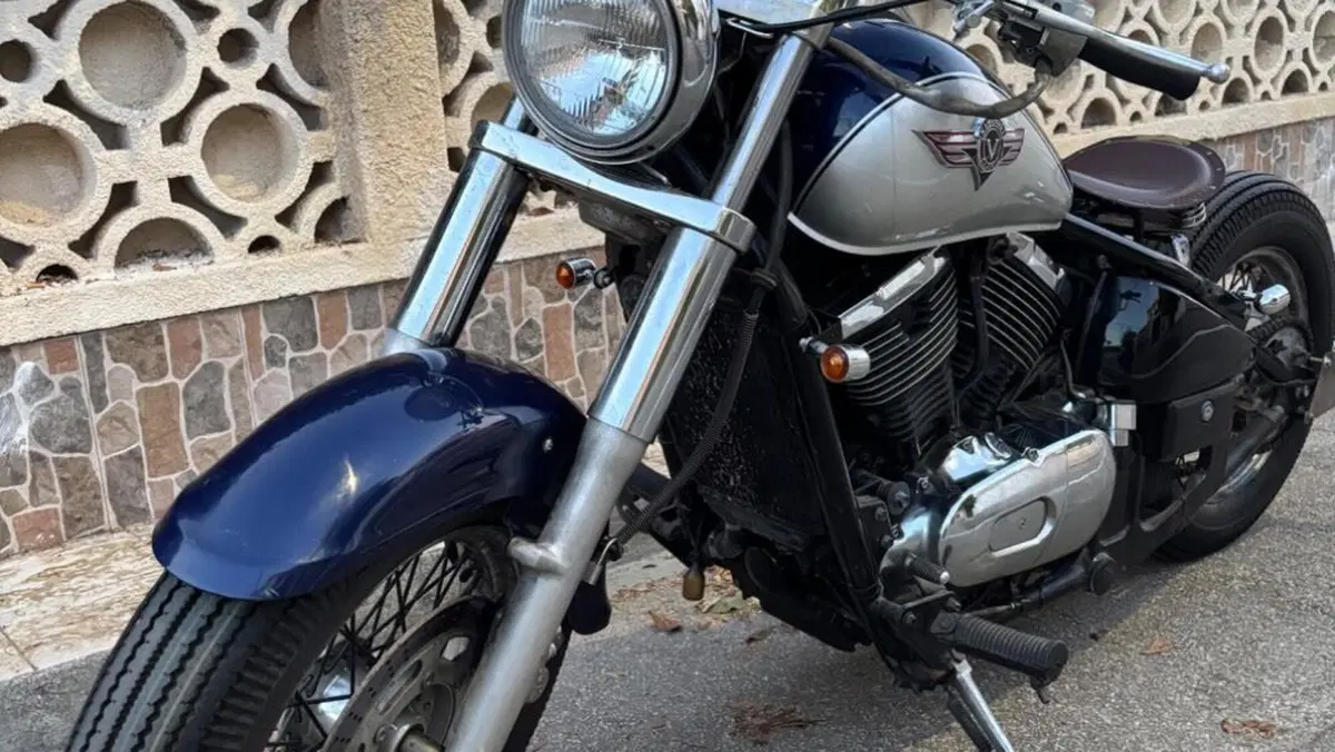 Kawasaki VN 800 Classic (1996 - 00)  (2)