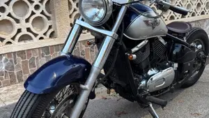 Kawasaki VN 800 Classic (1996 - 00)  (2)