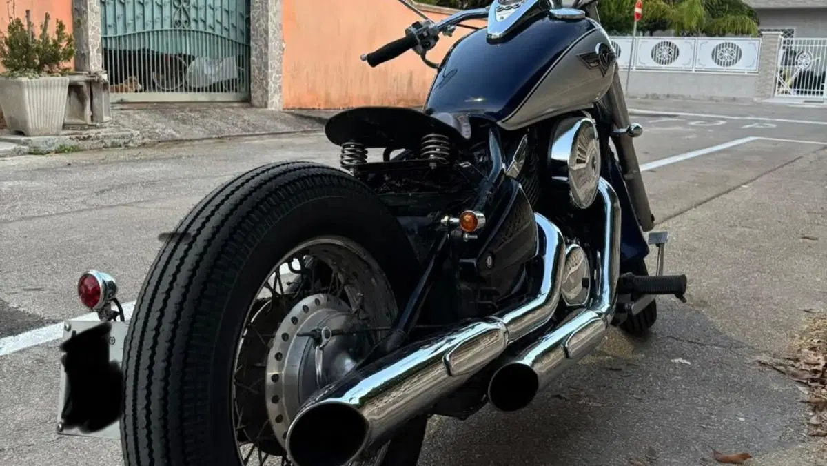 Kawasaki VN 800 Classic (1996 - 00)  (3)