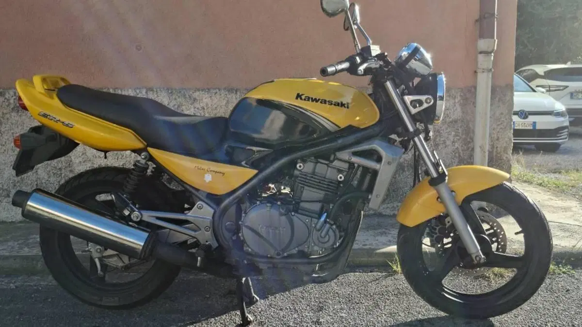 Kawasaki ER-5 500 (2001 - 06)  (2)
