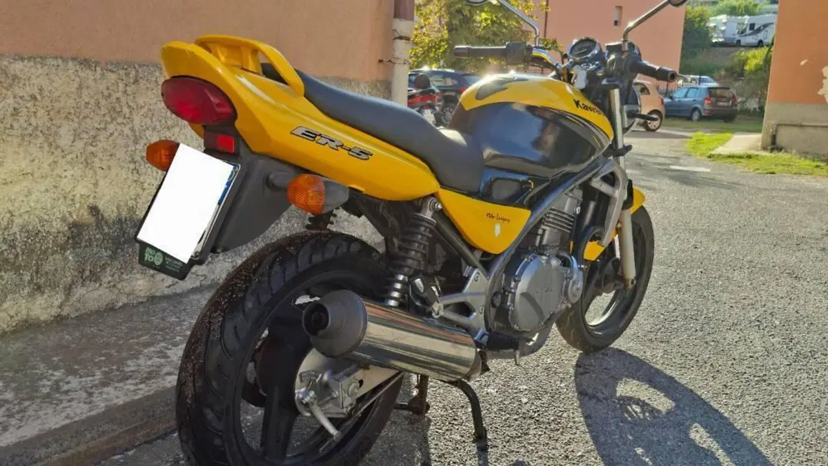 Kawasaki ER-5 500 (2001 - 06)  (3)