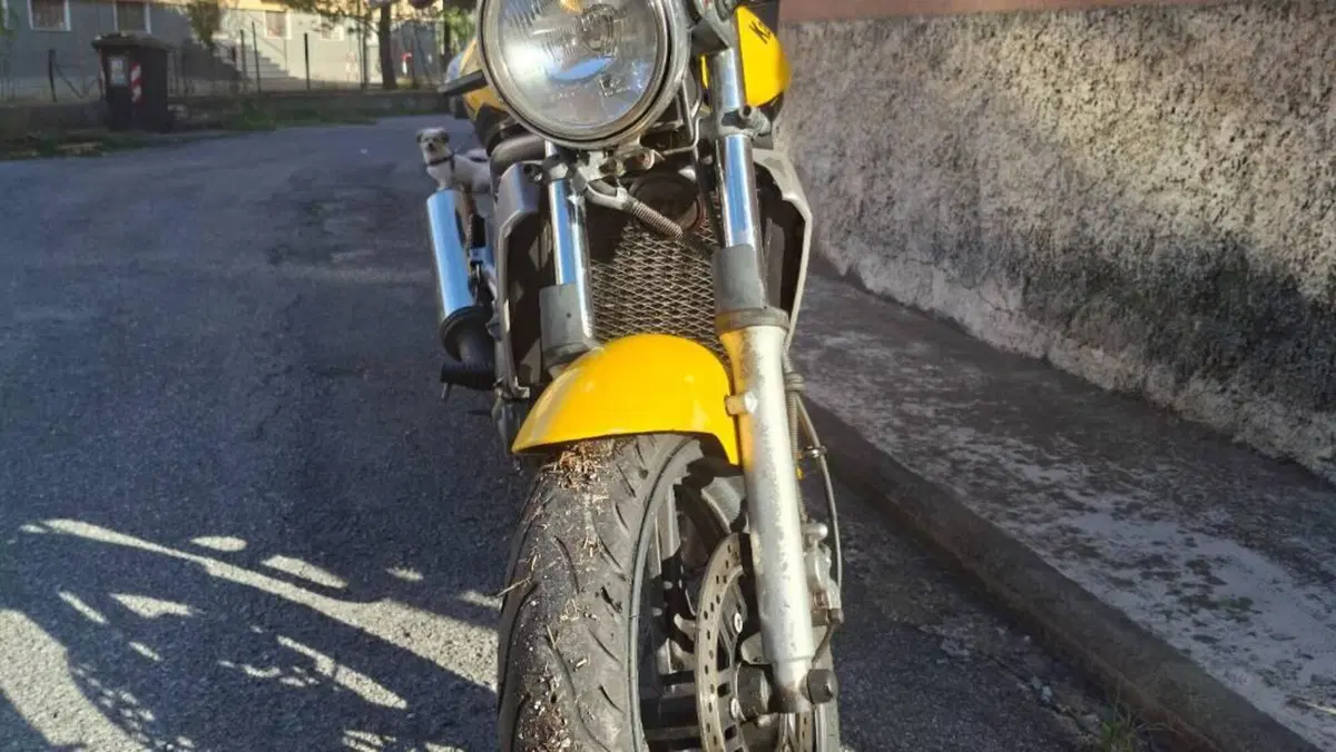 Kawasaki ER-5 500 (2001 - 06)  (4)