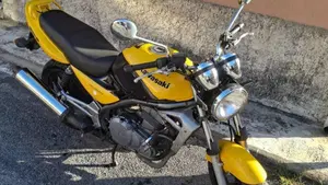 Kawasaki ER-5 500 (2001 - 06)  (5)