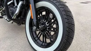Harley-Davidson 1200 Forty-Eight (2016 - 20)  (12)