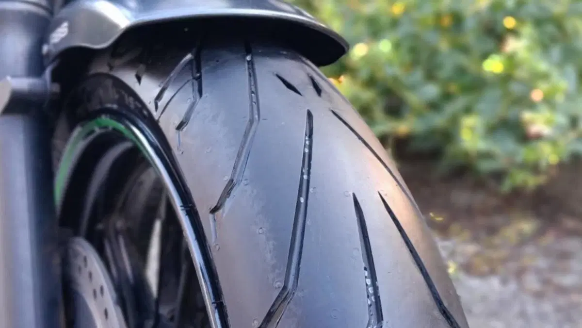 Kawasaki Vulcan S (2021 - 24)  (3)