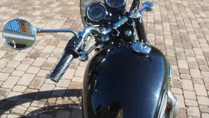 Triumph Bonneville T100 (2008 - 16)  (9)