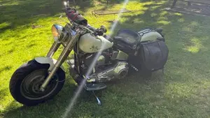 Harley-Davidson   (2)