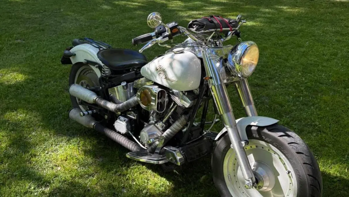 Harley-Davidson   (3)