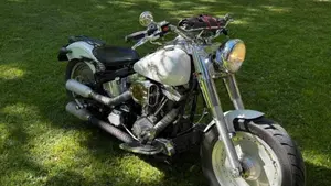 Harley-Davidson   (3)