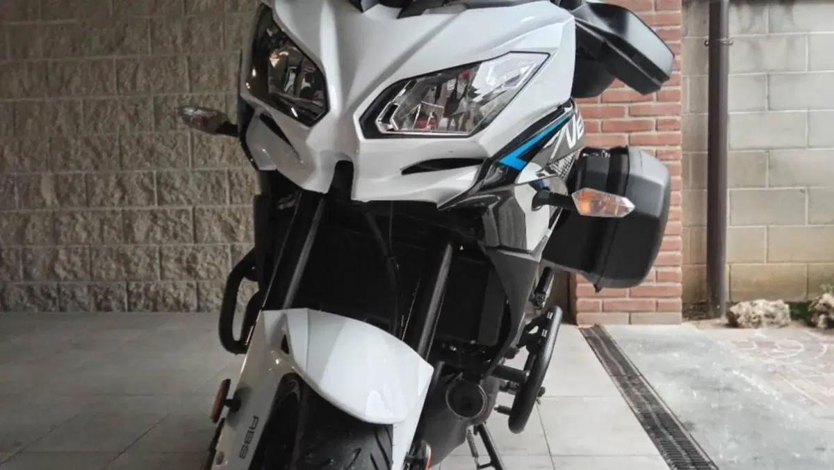 Kawasaki Versys 650 (2021 - 24)  (4)