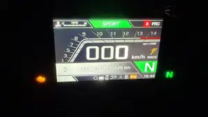 Aprilia RSV4 1100 Factory SE-09 SBK (2024)  (6)