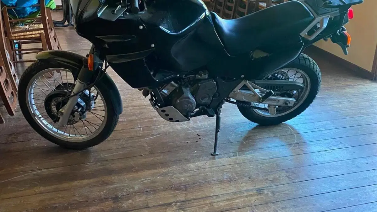 Yamaha   (7)