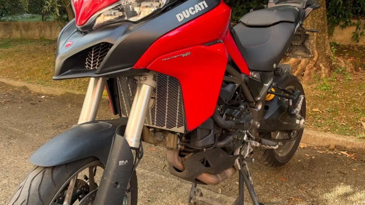 Ducati Multistrada 950 (2018)  (2)