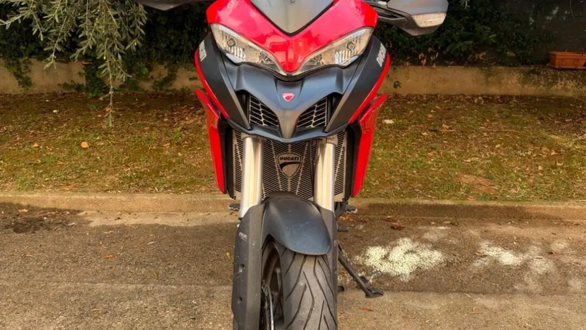 Ducati Multistrada 950 (2018)  (3)
