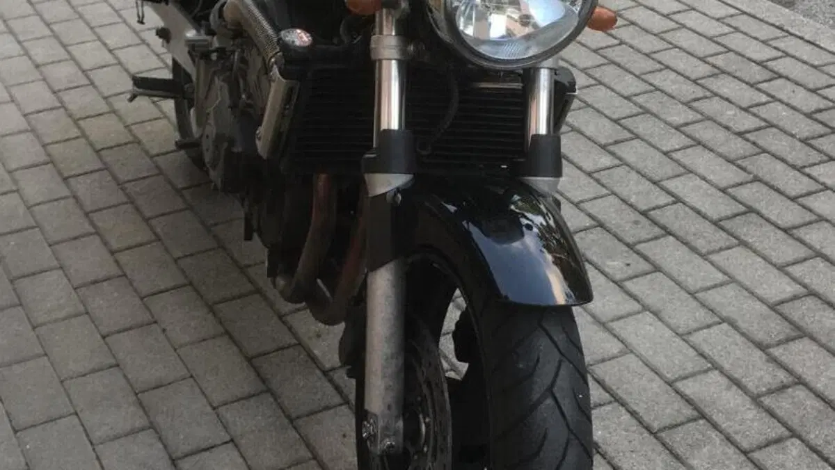 Honda Hornet 600 (2003 - 04)  (2)