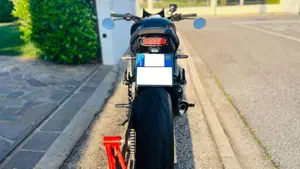 Triumph Speed Triple 1050 (2005 - 11)  (2)