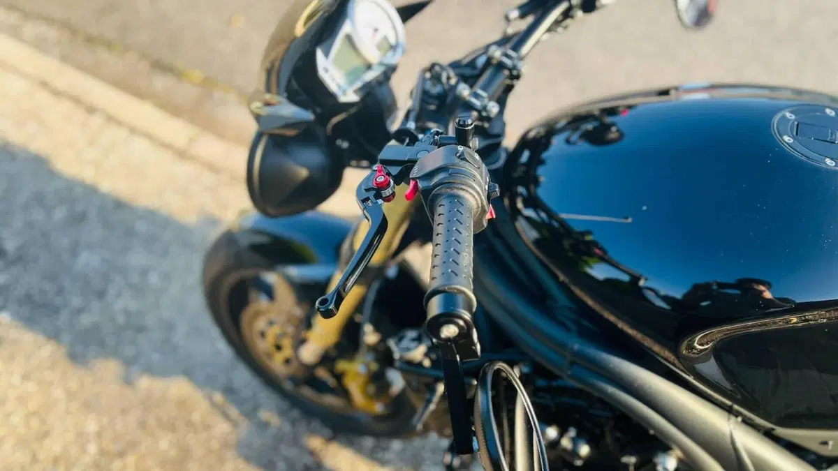 Triumph Speed Triple 1050 (2005 - 11)  (6)